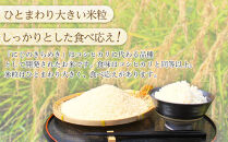 【先行予約】R7年産 白米 にじのきらめき5kg