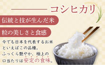 【先行予約】R7年産 白米 食べ比べ3種「結びの神」「コシヒカリ」「にじのきらめき」各3kg×3　合計9kg