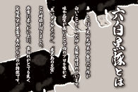 【大阪名物】大阪ふくちぁん黒豚餃子 冷凍生餃子 180個 ［36個入×5セット］