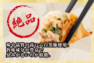 【大阪名物】大阪ふくちぁん黒豚餃子 冷凍生餃子 288個 ［36個入×8セット］