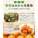 ［先行予約］ご家庭用 完熟有田みかん 約5kg［2025年12月発送予定］訳あり 農家直送［MS31-2］