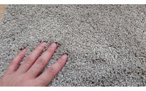 ペットに優しい洗えるしっかり吸着カーペット&nbsp;36×36cm&nbsp;グレージュ色