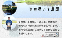 【先行予約】≪10月中旬以降発送≫令和7年産 栃木県大田原市産コシヒカリ「富米」 白米 10キロ ｜米 お米 新米 コメ こしひかり 10kg