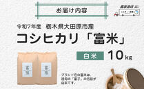 【先行予約】≪10月中旬以降発送≫令和7年産 栃木県大田原市産コシヒカリ「富米」 白米 10キロ ｜米 お米 新米 コメ こしひかり 10kg