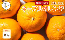 訳あり&nbsp;森本農園の手選別&nbsp;ネーブルオレンジ&nbsp;約10kg&nbsp;和歌山県産&nbsp;サイズ混合&nbsp;［北海道・沖縄・離島配送不可］［RN47］［2026年1月上旬から順次発送］