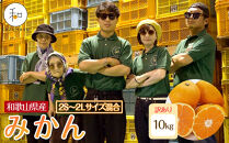 訳あり 森本農園の手選別 みかん 約10kg 和歌山県産 2S~2Lサイズ混合 ［北海道・沖縄・離島配送不可］［RN43］［2025年11月上旬から順次発送］