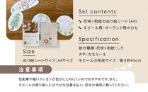 花咲く和紙　ぬり絵&nbsp;「森のどうぶつ」ぬり絵＆モビールキット&nbsp;「世界の国旗」ぬり絵＆ガーランド