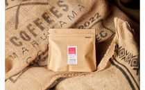 【大川市あだち珈琲】南米2種セット 150g×2（粉）