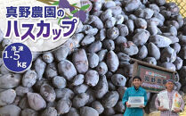 アンテナショップPiPaセレクト 真野農園のハスカップ1.0kg（500g×2） 【令和7年産先行予約】