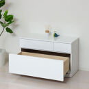 シャイン&nbsp;ローチェスト3D