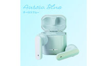 【オーロラ/ブルー】Bluetooth&nbsp;5.3&nbsp;完全ワイヤレス&nbsp;ステレオイヤホン&nbsp;インナーイヤータイプPG-BTE18TW