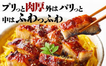 肉厚大うなぎ蒲焼きワケありまぶし切 21袋セット 福岡市（中国産）