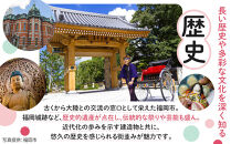 HIS 福岡市 ふるさと納税クーポン 300,000円分《航空券と宿泊がセットの対象ツアーに使える》| 旅行 旅行券 福岡 宿泊券 宿泊 旅行 航空券 トラベル 国内旅行 福岡旅行 博多 九州 福岡県 福岡市 his トラベルクーポン 観光 ホテル チケット 人気