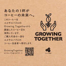 コーヒーバッグ 100枚セット