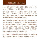 コーヒーバッグ 100枚セット