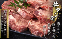牛タン元　厚切りステーキ　たれ付け&nbsp;&nbsp;600g(200g×3)