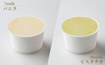 アイスクリーム詰め合わせ１０個（福岡市内製造)