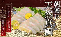 【お中元ギフト】天然真鯛&nbsp;刺身用（4人～5人前）