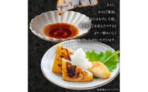 【お中元ギフト】讃岐天ぷら詰合せ（N-3）