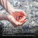 【年内発送】ふるさと納税限定　鹿児島県大崎町産&nbsp;国産&nbsp;うなぎ長蒲焼&nbsp;2尾&nbsp;計320g以上&nbsp;|&nbsp;鰻&nbsp;うなぎ蒲焼き&nbsp;うな重&nbsp;ひつまぶし&nbsp;ウナギ&nbsp;蒲焼&nbsp;人気&nbsp;おすすめ&nbsp;鹿児島&nbsp;大隅半島&nbsp;DU001　