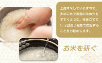 【令和7年産】ツキノワのコシヒカリ&nbsp;精米&nbsp;10kg&nbsp;｜お米&nbsp;白米&nbsp;ご飯&nbsp;コメ&nbsp;栃木県&nbsp;大田原市&nbsp;