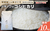 【令和7年産】ツキノワのコシヒカリ&nbsp;精米&nbsp;10kg&nbsp;｜お米&nbsp;白米&nbsp;ご飯&nbsp;コメ&nbsp;栃木県&nbsp;大田原市&nbsp;