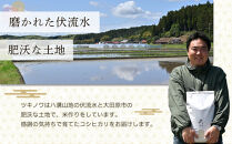 【令和7年産】ツキノワのコシヒカリ&nbsp;精米&nbsp;10kg&nbsp;｜お米&nbsp;白米&nbsp;ご飯&nbsp;コメ&nbsp;栃木県&nbsp;大田原市&nbsp;