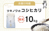 【令和7年産】ツキノワのコシヒカリ&nbsp;精米&nbsp;10kg&nbsp;｜お米&nbsp;白米&nbsp;ご飯&nbsp;コメ&nbsp;栃木県&nbsp;大田原市&nbsp;