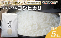 【令和7年産】ツキノワのコシヒカリ&nbsp;精米&nbsp;5kg&nbsp;｜お米&nbsp;白米&nbsp;ご飯&nbsp;コメ&nbsp;栃木県&nbsp;大田原市