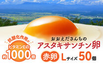 おおえだファーム&nbsp;アスタキサンチン卵（赤卵）Lサイズ&nbsp;50個入り