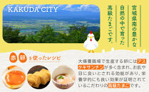 おおえだファーム&nbsp;アスタキサンチン卵（赤卵）&nbsp;Lサイズ&nbsp;60個入り