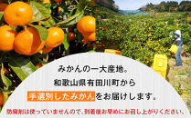 有田みかん&nbsp;早生みかん&nbsp;秀品または優品&nbsp;約3kg&nbsp;S～2Lサイズ混合&nbsp;としみ農園