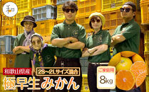 家庭用&nbsp;森本農園の手選別&nbsp;極早生みかん&nbsp;約8kg&nbsp;和歌山県産&nbsp;2S~2Lサイズ混合&nbsp;［北海道・沖縄・離島配送不可］［RN40］［2025年10月上旬から順次発送］