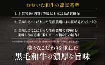 【希少部位含む！】おおいた和牛 10種盛りセット_2503R