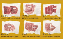 【希少部位含む！】おおいた和牛 10種盛りセット_2503R