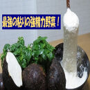 【芋家なか吉】丹波山の芋&nbsp;わけあり&nbsp;3キロ&nbsp;11月収穫のとれたての新芋［&nbsp;京都&nbsp;山の芋専門店&nbsp;職人&nbsp;とろろ&nbsp;芋&nbsp;いも&nbsp;イモ&nbsp;野菜&nbsp;3kg&nbsp;不揃い&nbsp;事業者応援品&nbsp;応援&nbsp;人気&nbsp;おすすめ&nbsp;お取り寄せ&nbsp;通販&nbsp;送料無料&nbsp;ふるさと納税&nbsp;］