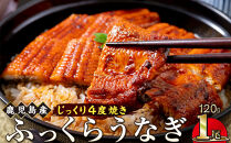 うなぎ&nbsp;蒲焼&nbsp;120g×1尾【鹿児島産】地下水で育てた絶品鰻