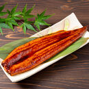 うなぎ&nbsp;蒲焼&nbsp;120g×4尾【鹿児島産】地下水で育てた絶品鰻