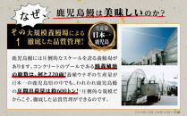 うなぎ&nbsp;蒲焼&nbsp;120g×5尾【鹿児島産】地下水で育てた絶品鰻