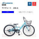 【サイモト自転車 】ウ゛ァチェート  Jr.MTB 20型 6段変速 (WN1533)【完全組立】【ブルー】