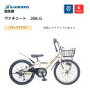 【サイモト自転車 】ウ゛ァチェート  Jr.MTB 20型 6段変速 (WN1534)【完全組立】【コヨーテブラウン】