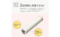 【レッド】スティック型モバイルバッテリー&nbsp;3000mAhPG-LBJ30A