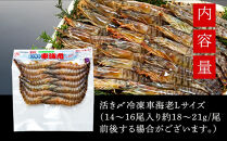 【お中元用】活き〆冷凍車海老　300g（Lサイズ）14～16尾入り