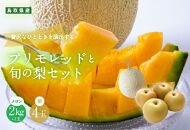 【ポイント交換専用】925.【ふるさと納税】【赤肉系メロン】プリモレッド (メロン) と旬の梨セット※離島への配送不可（北海道、沖縄本島は配送可能）