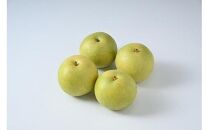 【ポイント交換専用】610.【先行予約】【家庭用】二十世紀梨&nbsp;5kg前後&nbsp;(10個～16個前後)&nbsp;鳥取県産&nbsp;梨&nbsp;なし※着日指定不可※2026年8月下旬～9月中旬頃に順次発送予定