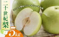 【ポイント交換専用】278.二十世紀梨&nbsp;5kg（JA）※2026年8月下旬～9月上旬頃に順次発送予定【梨&nbsp;なし&nbsp;ナシ&nbsp;二十世紀梨&nbsp;フルーツ&nbsp;果物&nbsp;鳥取県&nbsp;北栄町&nbsp;おすすめ&nbsp;人気】