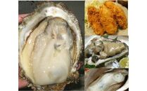 【ポイント交換専用】624.鳥取県産　天然岩ガキ『夏輝』ブランドタグ付き　3個（400g以上×3個） 牡蠣 カキ※着日指定不可※2025年6月上旬～8月中旬頃に順次発送予定