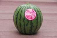 【ポイント交換専用】【先行予約】798.種ごと食べられる！小玉スイカ【ピノ・ガール】2玉（1玉2kg前後×2玉）※着日指定不可※離島への配送不可