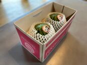 【ポイント交換専用】【先行予約】798.種ごと食べられる！小玉スイカ【ピノ・ガール】2玉（1玉2kg前後×2玉）※着日指定不可※離島への配送不可