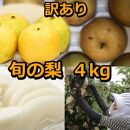 【ポイント交換専用】928.【訳あり】鳥取県産旬の梨セット 4kg ≪果物 フルーツ くだもの≫　※2025年8月下旬頃～12月下旬頃に順次発送予定